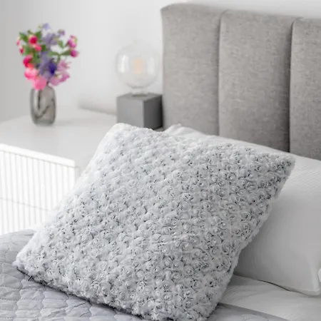 Modern Close To The In By Renters *